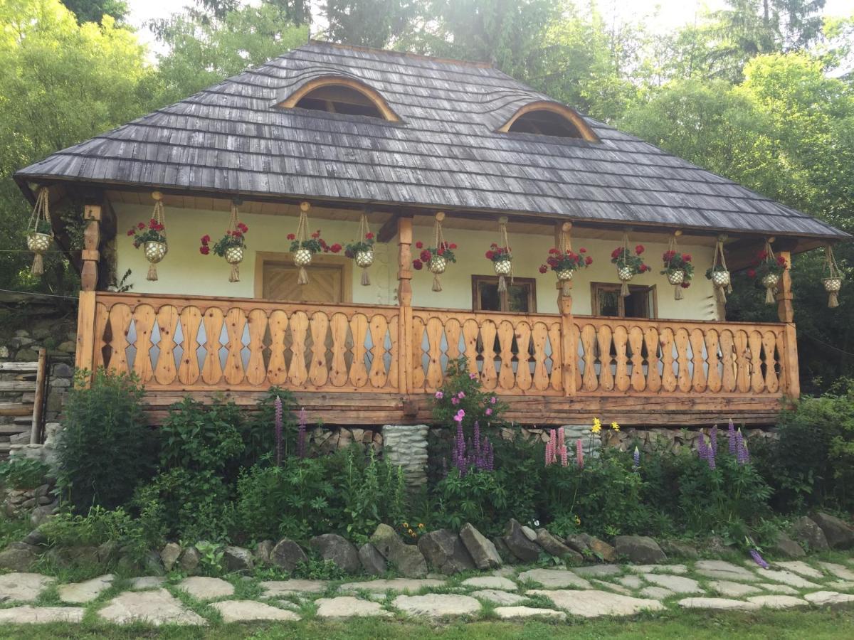 Pensiunea Agroturistica Casa Colinita Vatra Moldovitei Exterior photo