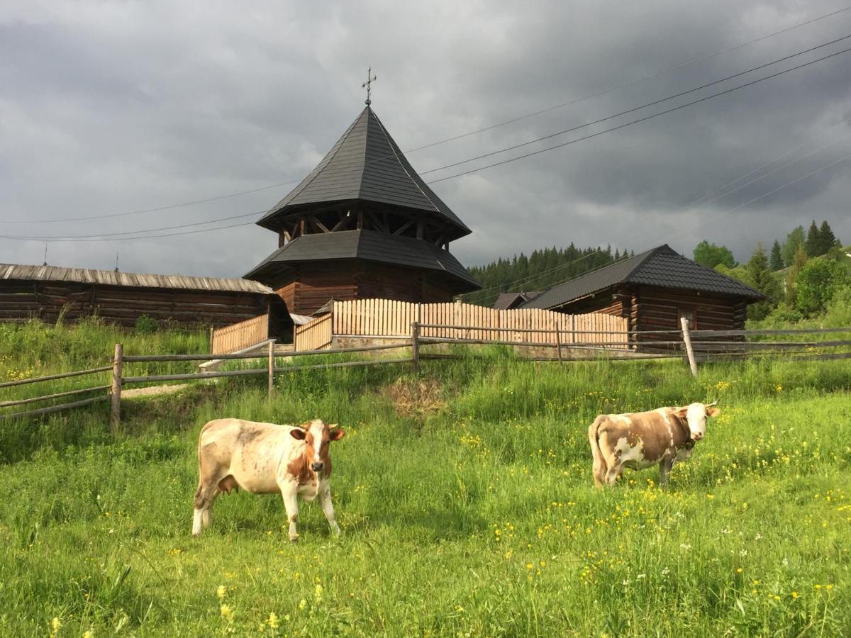 Pensiunea Agroturistica Casa Colinita Vatra Moldovitei Exterior photo