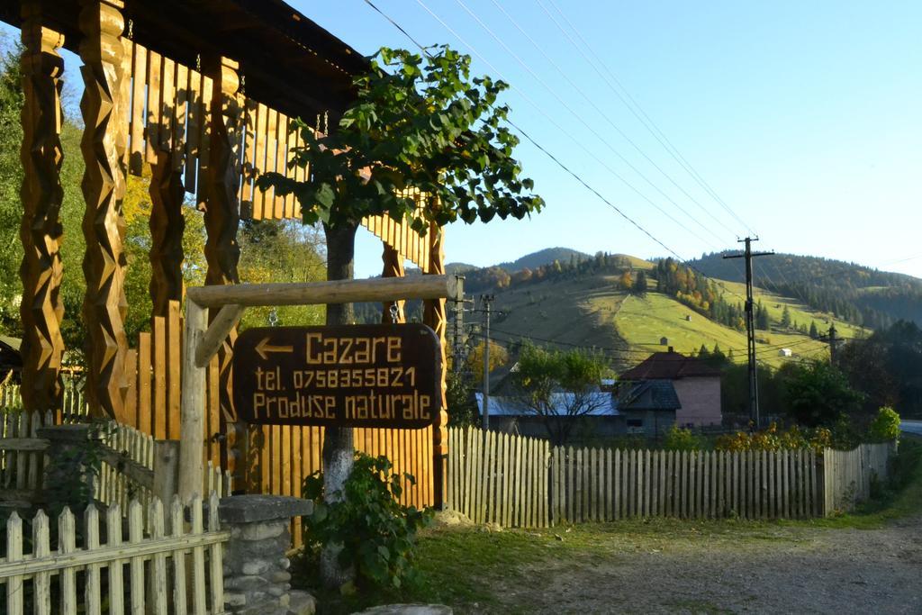 Pensiunea Agroturistica Casa Colinita Vatra Moldovitei Exterior photo